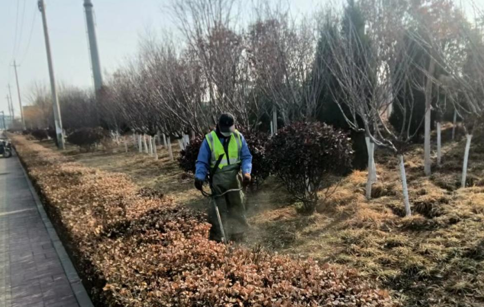 开yun体育app官网入口登录荷花途街道发展园林绿化除草事务_历城区_公众网(图1)