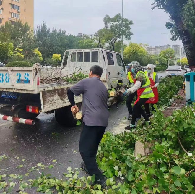 开yun体育app官网入口登录海港区园林绿化中央：一心合力防汛 共筑安适防地(图2)