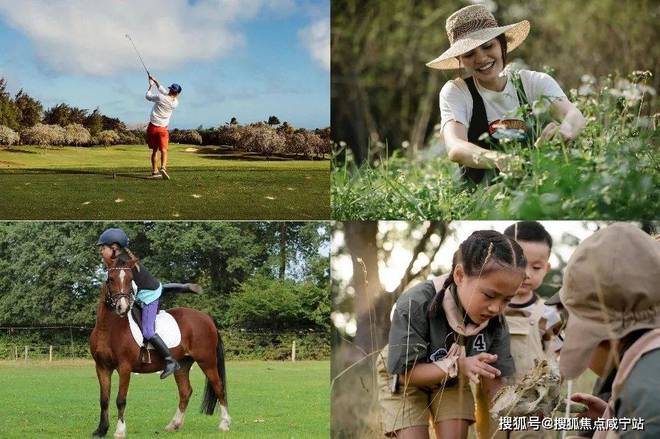 kaiyun欧洲杯app嘉定五个院子的别墅官方网站上海五个院子的别墅优差错巨头解(图5)