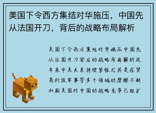 美国下令西方集结对华施压，中国先从法国开刀，背后的战略布局解析