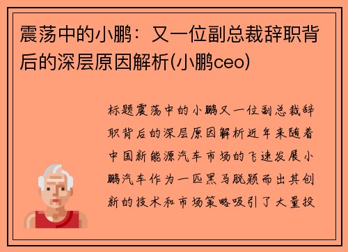 震荡中的小鹏：又一位副总裁辞职背后的深层原因解析(小鹏ceo)